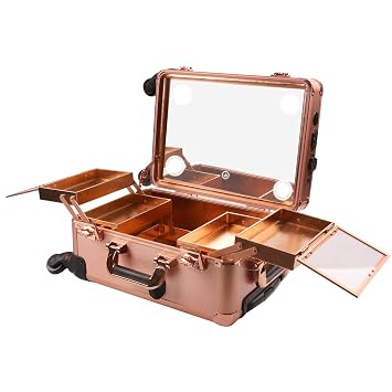 Amazon.com: Jula Vance Salon - Maleta de maquillaje para tren, luces  incorporadas y 3 colores claros y ruedas Omni-Direction iluminadas,  organizador de cosméticos de viaje, profesional, carrito de artista, S :  Belleza