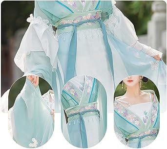 Chinese Style Embroidery Hanfu Tang Ming Dynasty Dance Costume Clothing Embroidery Hanfu Skirt Cosplay Hanfu