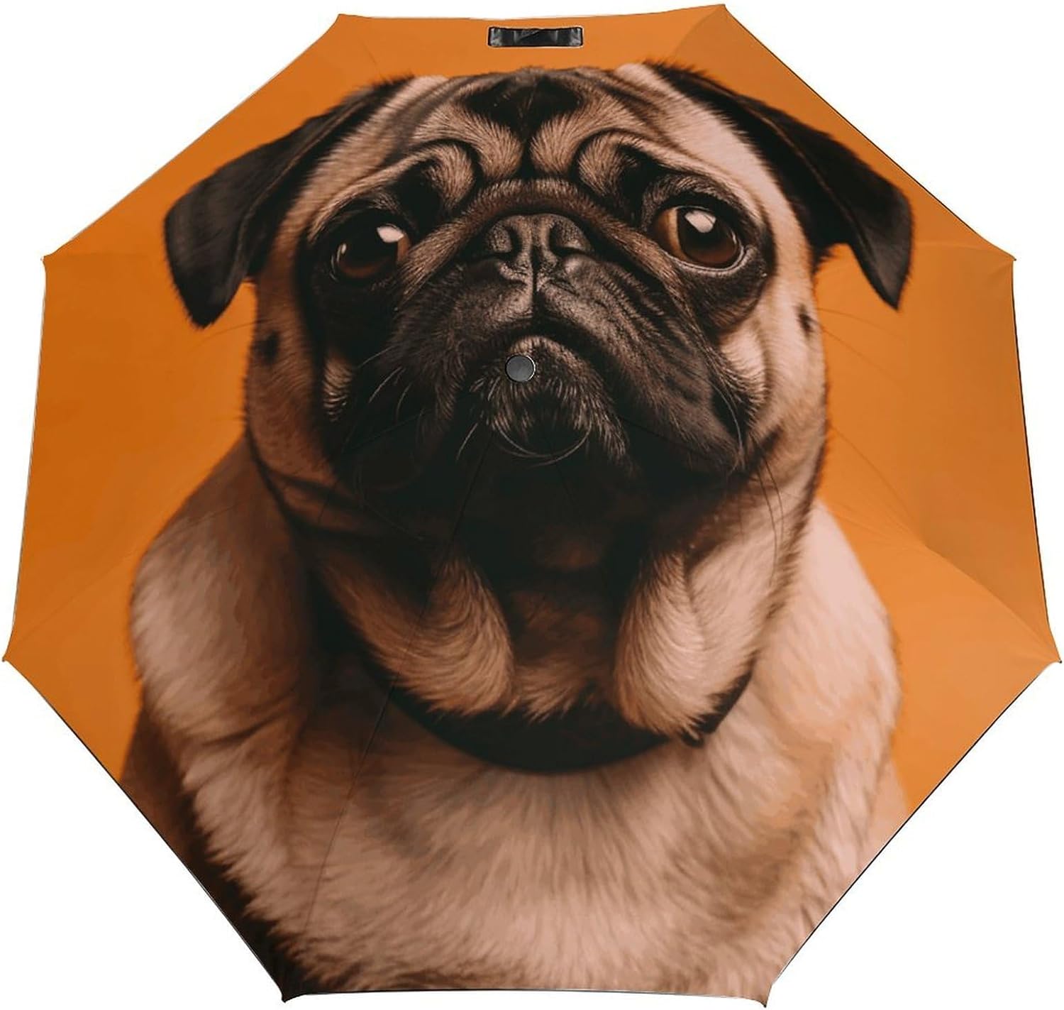 Windproof Travel Umbrella A Pug Folding Small Sun Umbrella Lightweight Small And Compact Suit for Pocket