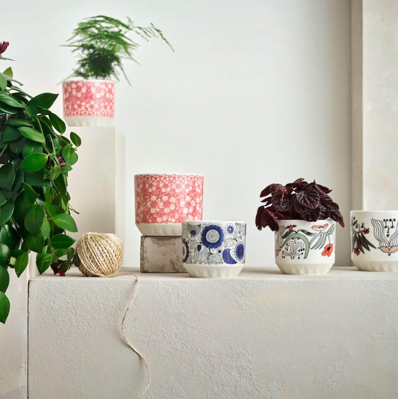 Amazon.co.jp: アラビア: プラントポット