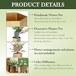 MyGift Handcrafted Metallic Shiny Brass Metal Indoor Plant Vase Pot with Hexagon Shape, Decorative Succulent Cactus Planter Container, Set of 2 - Handmade in India