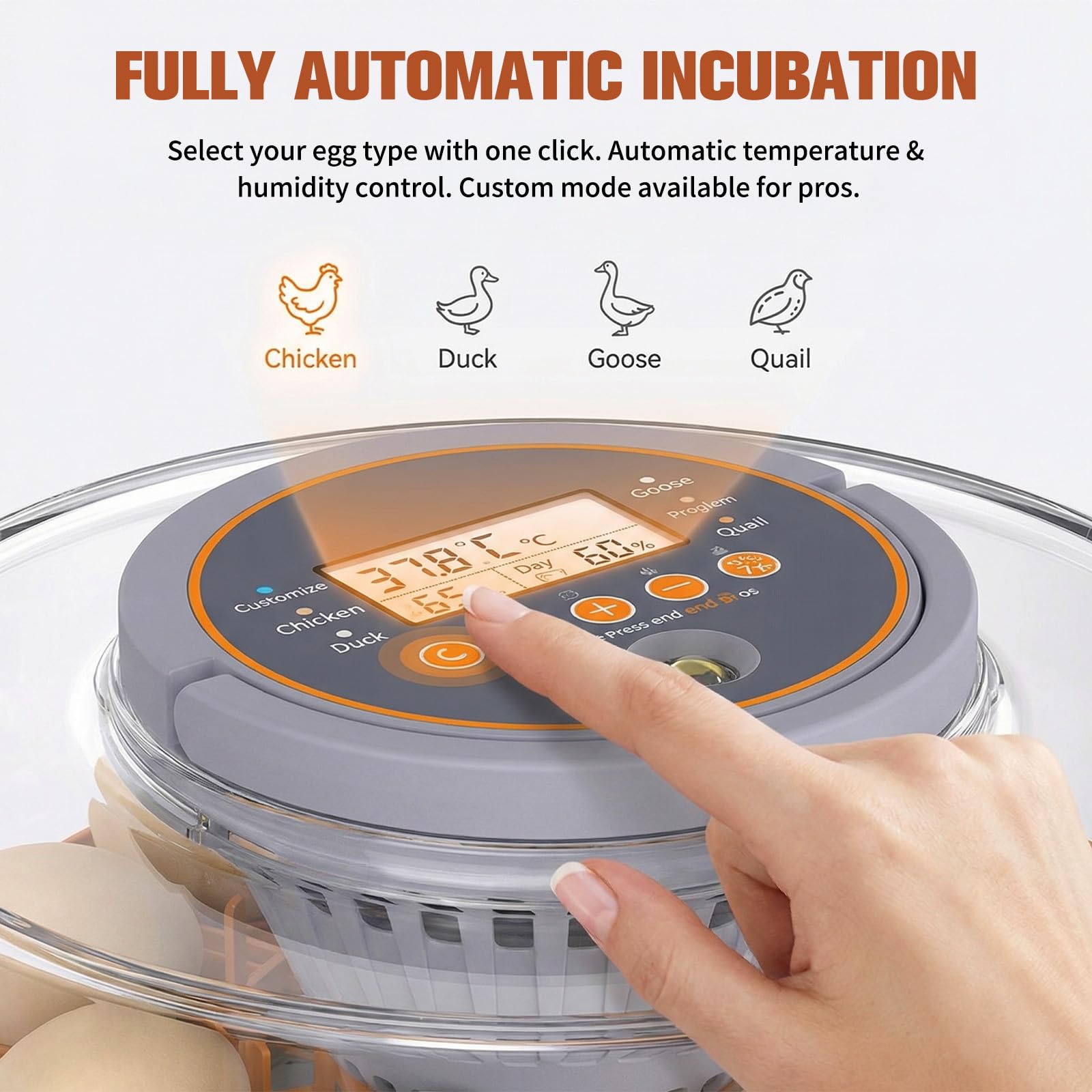 Incubadora totalmente automática, incubadora totalmente automática para 12 huevos, con giro automático de los huevos, control de temperatura y lámpara de cizalla especial
