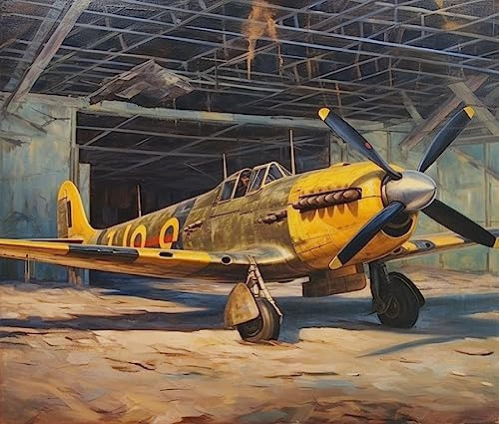 Ansiweigo Multicoloured Paint By Number Kit Retro Airplane,Fighter Large Painting By Numbers Set Canvas For Adults,Old Fighter Plane Diy Coloring Set,40X50 Cm No Frame