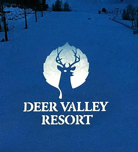 Proyector GOBO con logotipo de 100 W para negocios, IP65 resistente al agua rotacional con doble sistema de refrigeración para exteriores, luz de