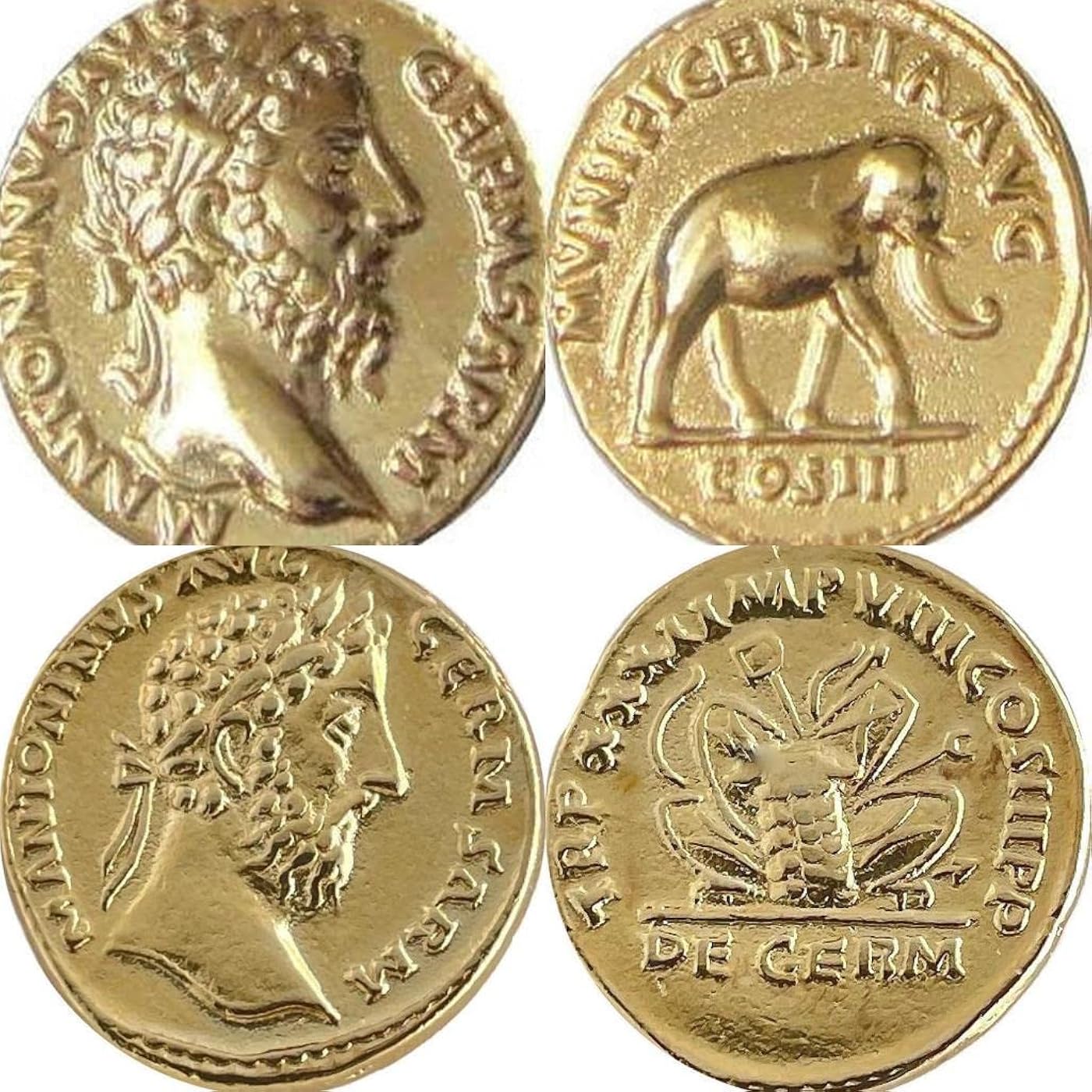 Gallery image 1