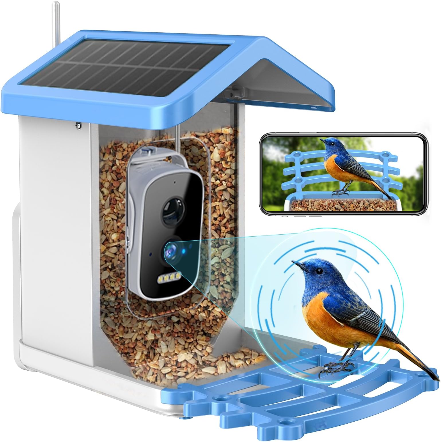 Amazon.com : AI Smart Bird Feeder With Camera Solar Powered - 1080P HD+ ...