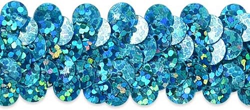 Expo International - Tira de lentejuelas brillantes elásticas de 20 yardas de 2 filas de 7/8 pulgadas, diseño de holograma