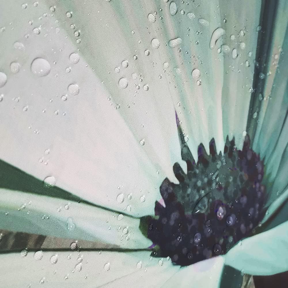 Rustic Farmhouse Shower Curtain, Farm Teal Daisy Floral Flowers and Butterfly on Country Wooden Shower Curtain for Bathroom, Turquoise Blue Bathroom Shower Curtains with 12PCS Hooks, 70X84IN