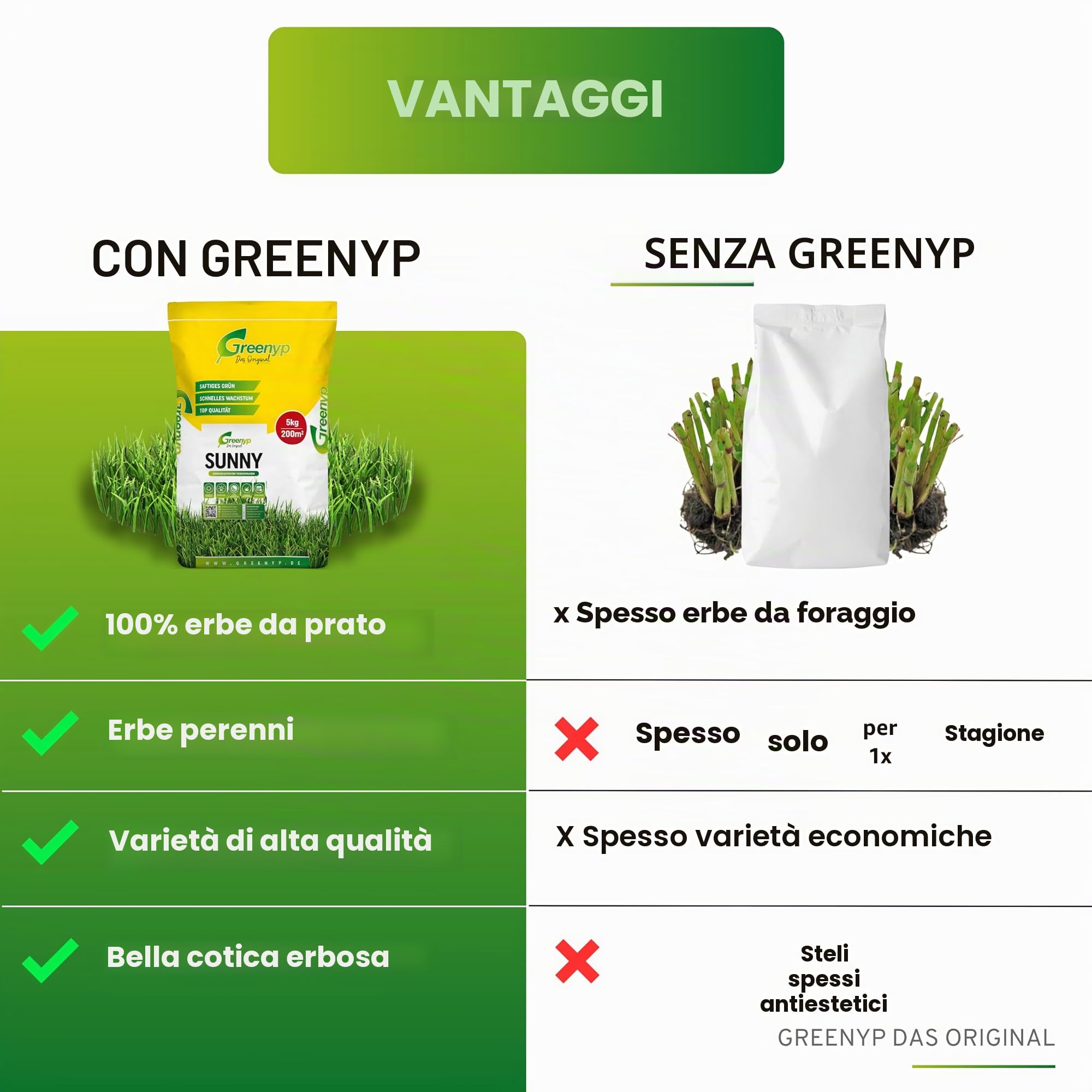 Greenyp® Sunny I erba secca resistente alla siccità, 30 kg per 1200 m², semi di erba, seme di prato, semina di erba, semina di erba