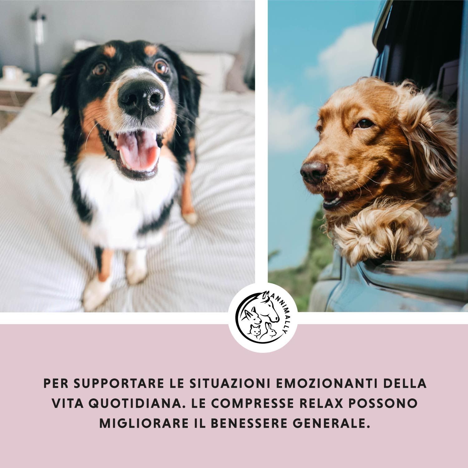 Compresse calmante per cani - Compresse integratori per cane con valeriana per cani, iperico, L-triptofano - 250 Compresse XL² per ansia, stress e viaggio - Calmanti per cani