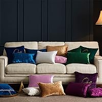 Vista 7 de GIGIZAZA Fundas de almohada decorativas de terciopelo champán, fundas de almohada para sofá (20 x 20 pulgadas, 4 unidades, champán)