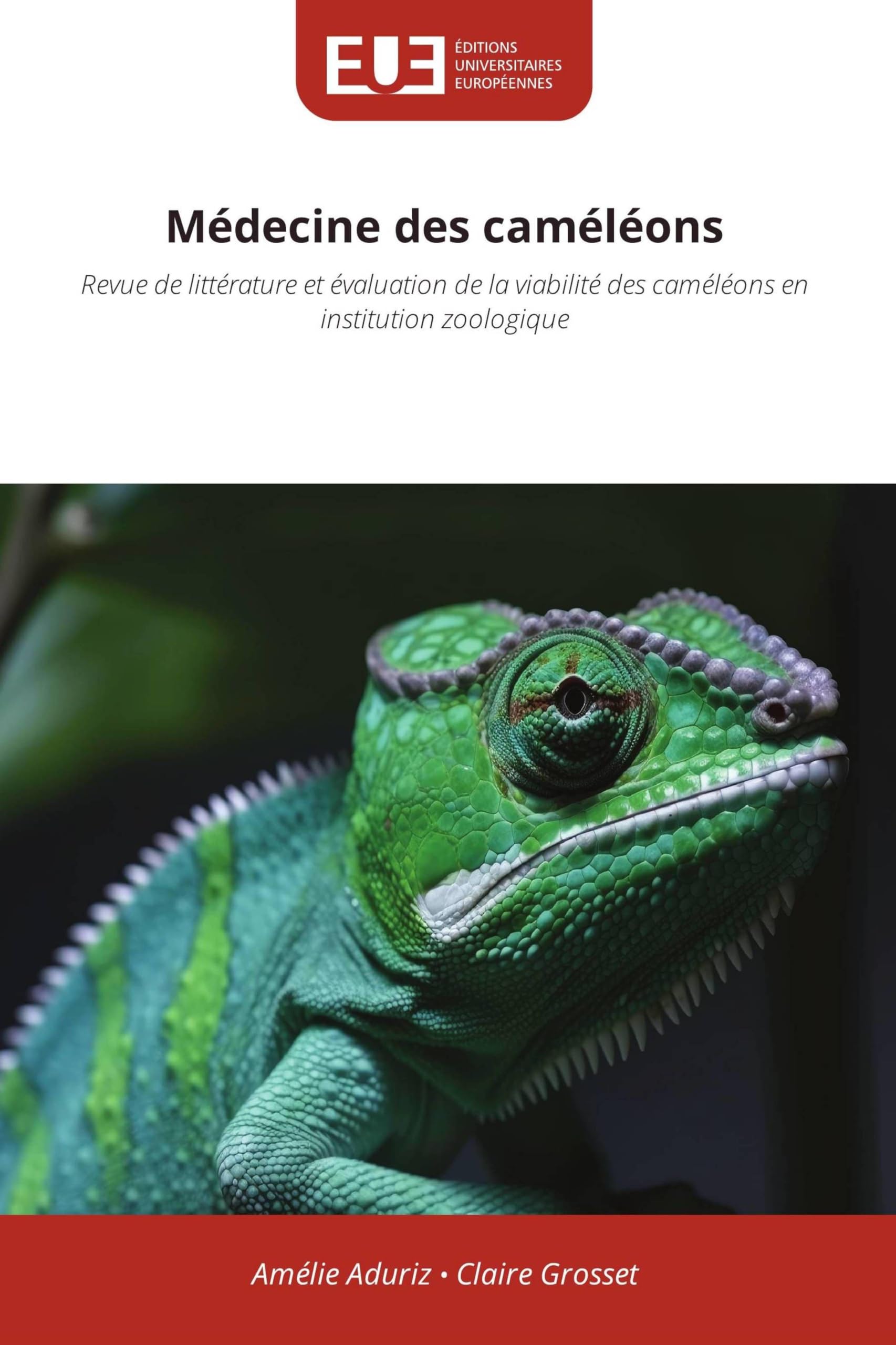 Médecine des caméléons: Revue de littérature et évaluation de la viabilité des caméléons en institution zoologique