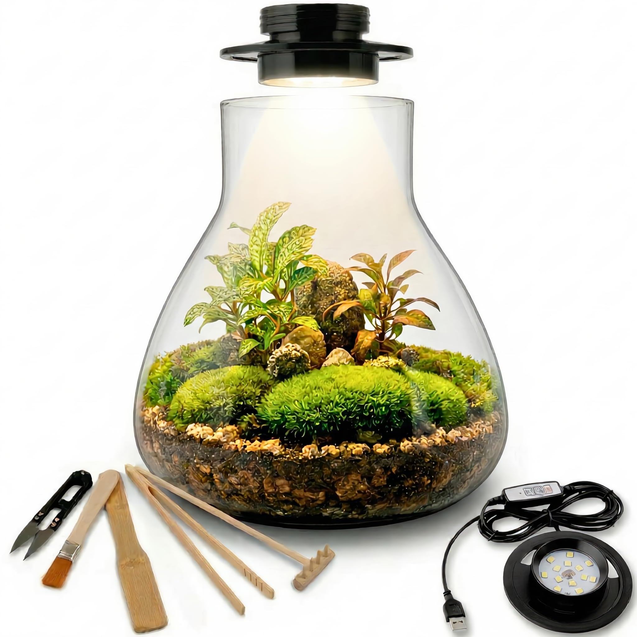 Kit de terrarium pour plantes Terrarium Plants Kit d'outils récipient en Borosilicate & lumière intelligente LED