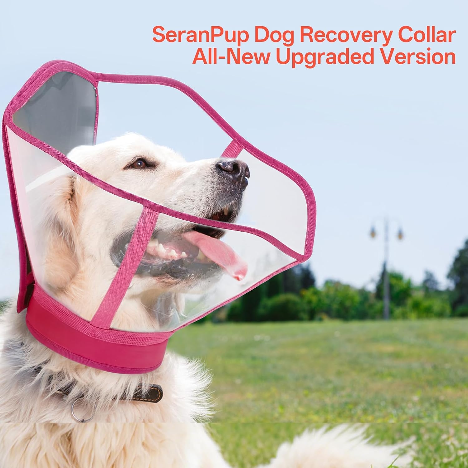 Foldable Dog Cone Collar - Adjustable Elizabethan Recovery Collar for Dogs After Surgery, Transparent Waterproof E-Collar to Stop Licking Wounds, Fits Small Medium Large Dogs, Rose Red, XL