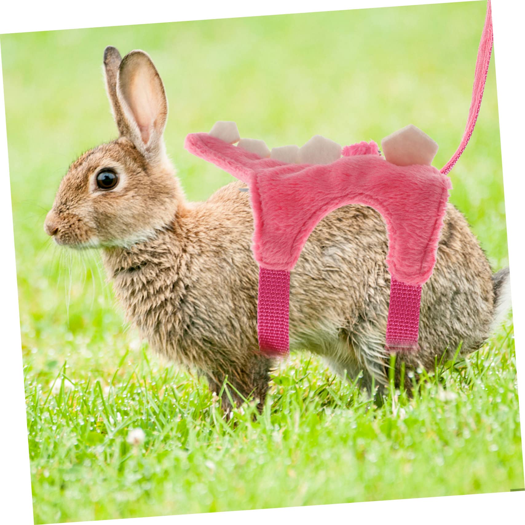 SUPVOX 3pezzi Imbracatura e Guinzaglio Per Animali Pet Walking Vest Ferret e Scoiattoli Materiale Resistente e Design Traspirante Per Attività Indoor e Outdoor