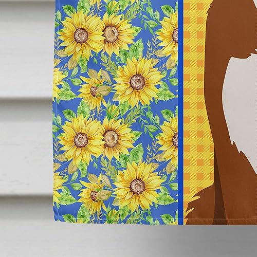 Miniatura 4 de Caroline's Treasures WDK5331CHF - Bandera de lona para el verano, diseño de girasoles de raza de perro, borde collie, rojo y blanco