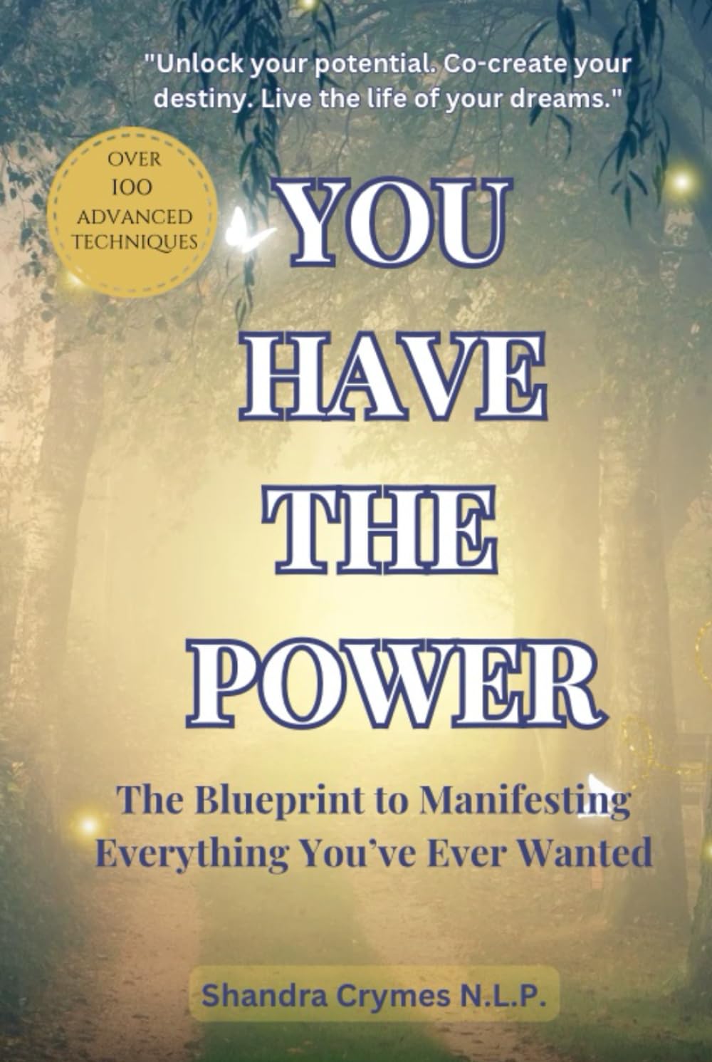 You Have the Power: The Blueprint to Manifesting Everything You’ve Ever Wanted