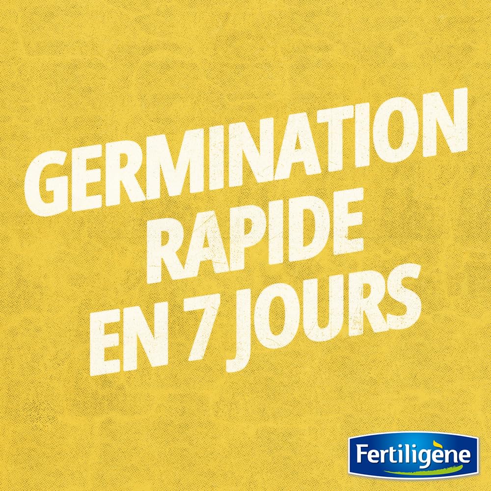 FERTILIGENE OMBR25 - Semences Gazon Terrain Ombragé 875 g - Pour 200m² - Premières pousses en 1 semaine