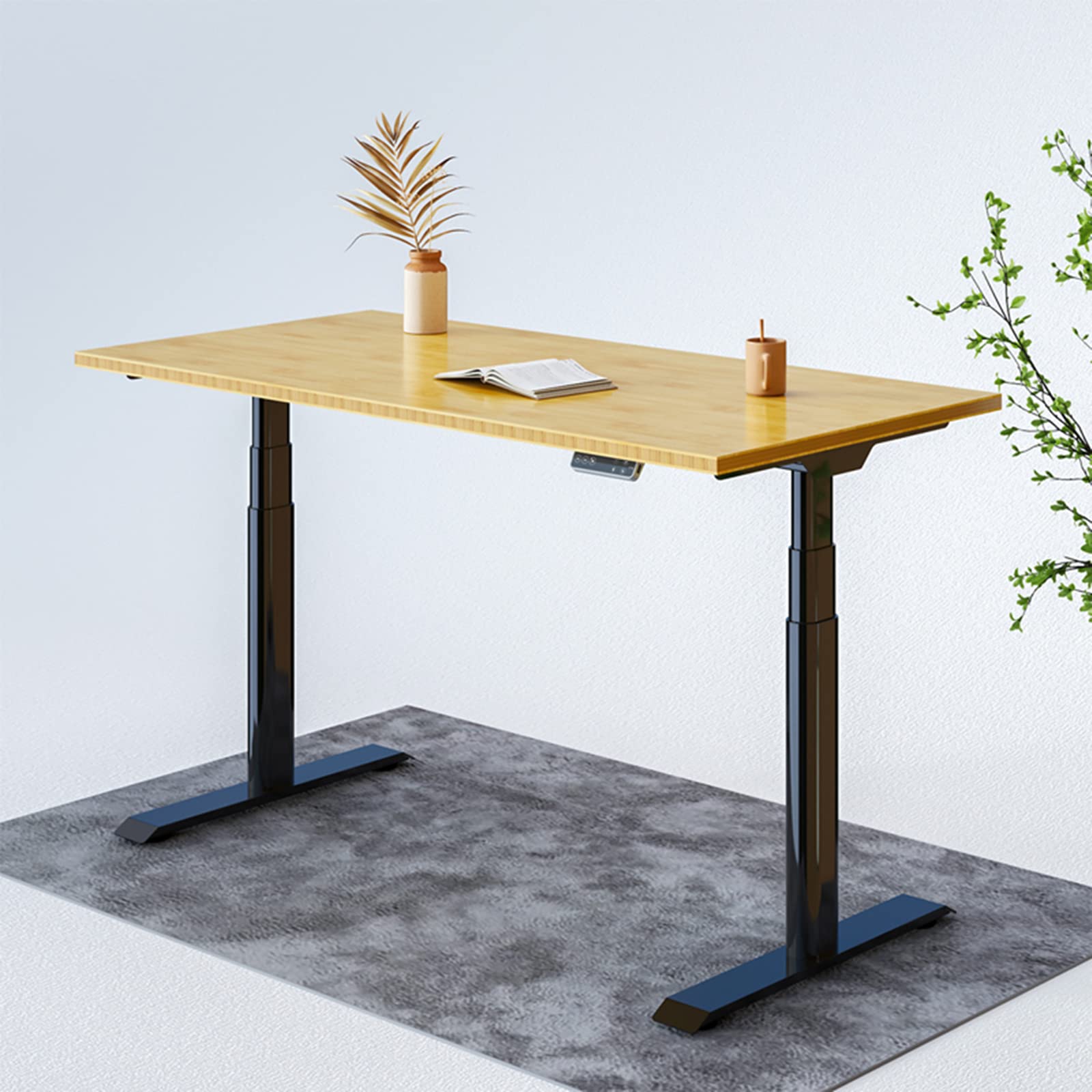 Buy FLEXISPOT EC8 Pro Electric Standing Desk with Bamboo Seamless Solid