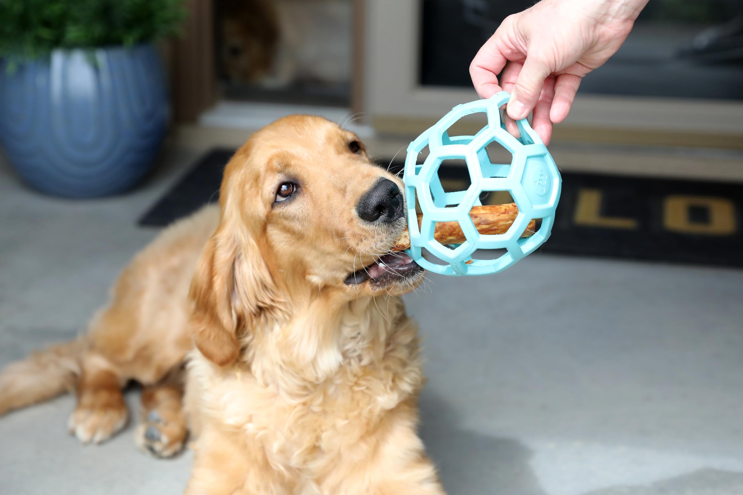 JW Pet HOL-ee Roller™, zabawka dla psa, piłka puzzle, kauczuk naturalny, duży (średnica 14 cm), niebieska