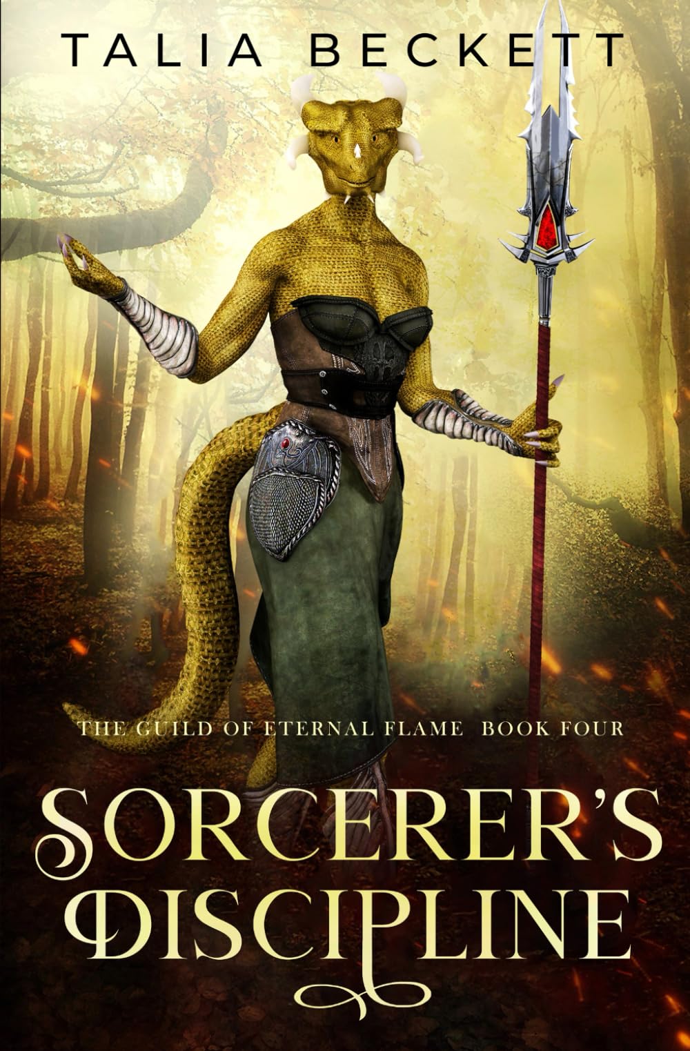 Sorcerer's Discipline (Guild of the Eternal Flame)