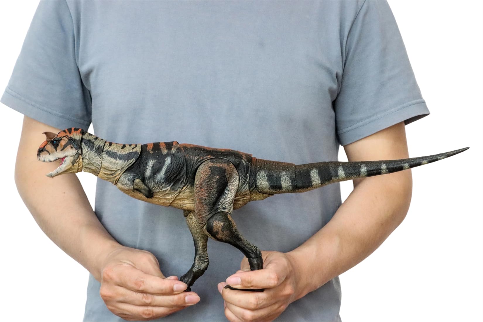 Amazon.co.jp: Beasts of the Mesozoic/Cenozoic 1/18スケール カルノ
