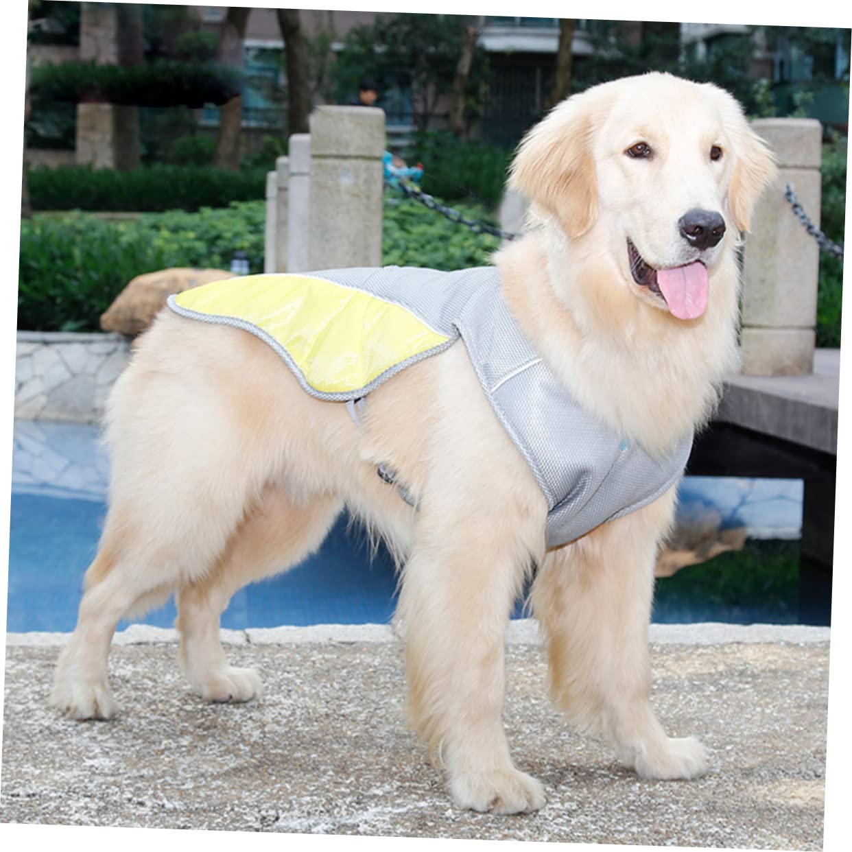 Kisangel Lot De 3 Réfléchissants pour Animaux De Compagnie Gilet Rafraîchissant Et Respirant pour Chiens Idéal pour Les Promenades