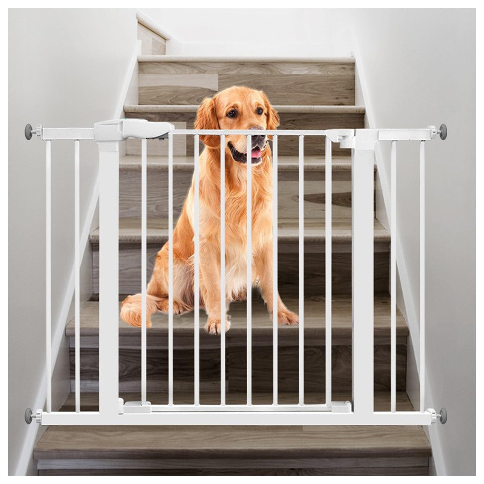 Barrière pour chien et sécurité enfant réglable 60 à 82 cm