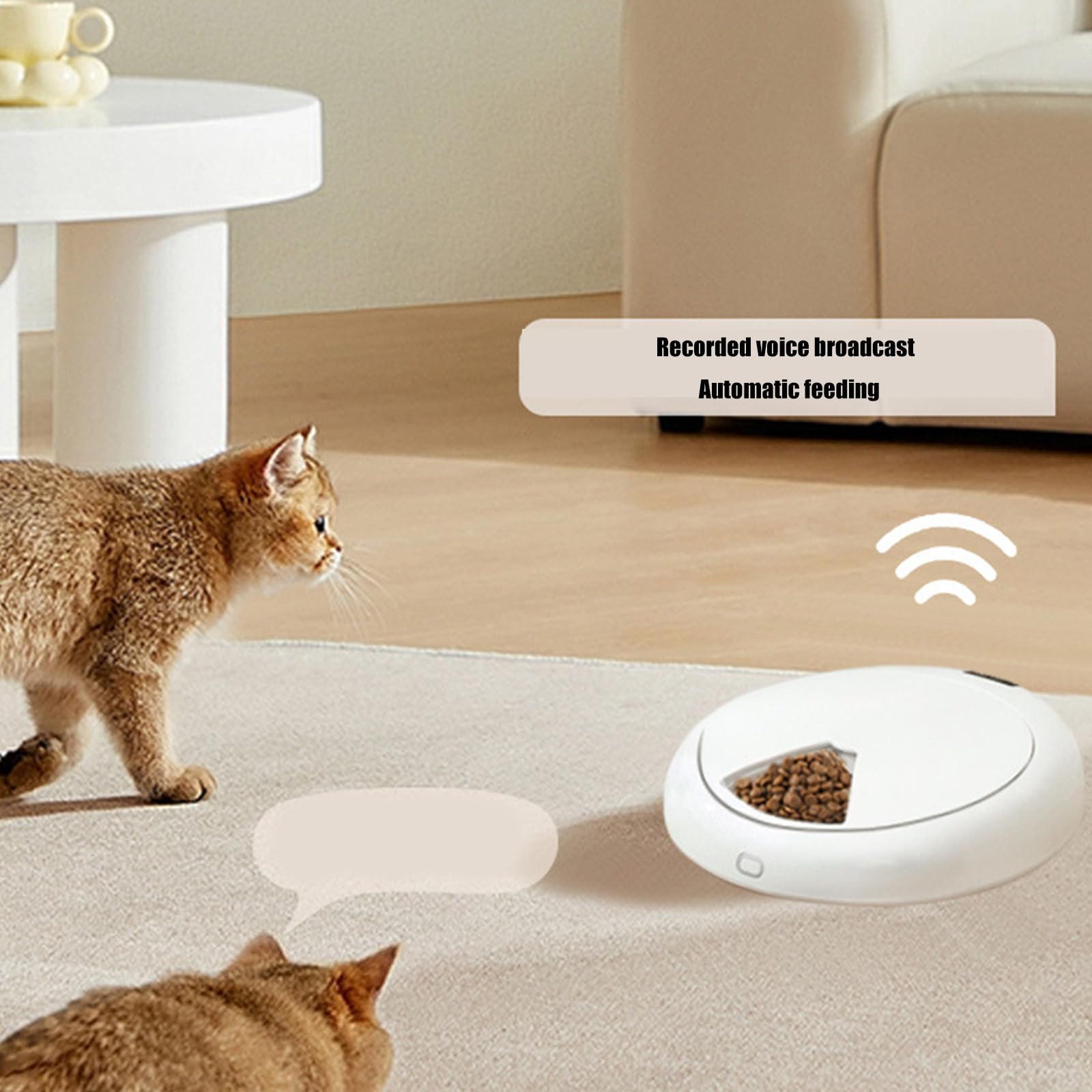 Distributore di cibo per animali domestici senza fili con scatola refrigerata con timer controllato fino a 6 pasti al giorno mangiatoia automatica per gatti