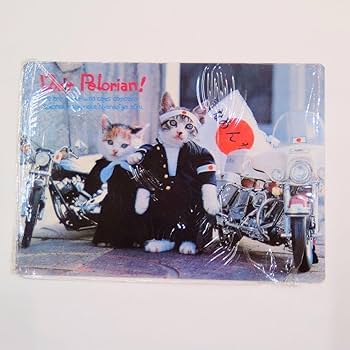 Amazon.co.jp: なめ猫 レトロ なめんなよ猫 下敷き ！ : ペット用品