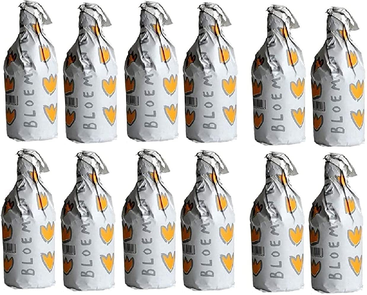 Set 24 Bottiglie Degustazione Birra Bloemenbier 33 cl Belga e Forst Sixtus 33 cl Italiana Luppolo Doppio Malto Artigianale, Kit Degustazione 24 Bottiglie - 7,92 Litri