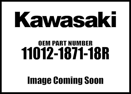 Kawasaki Ajustador de cadena de tapa Ninja Versys-X 2008-2020 Bl 11012-1871-18R Nuevo OEM