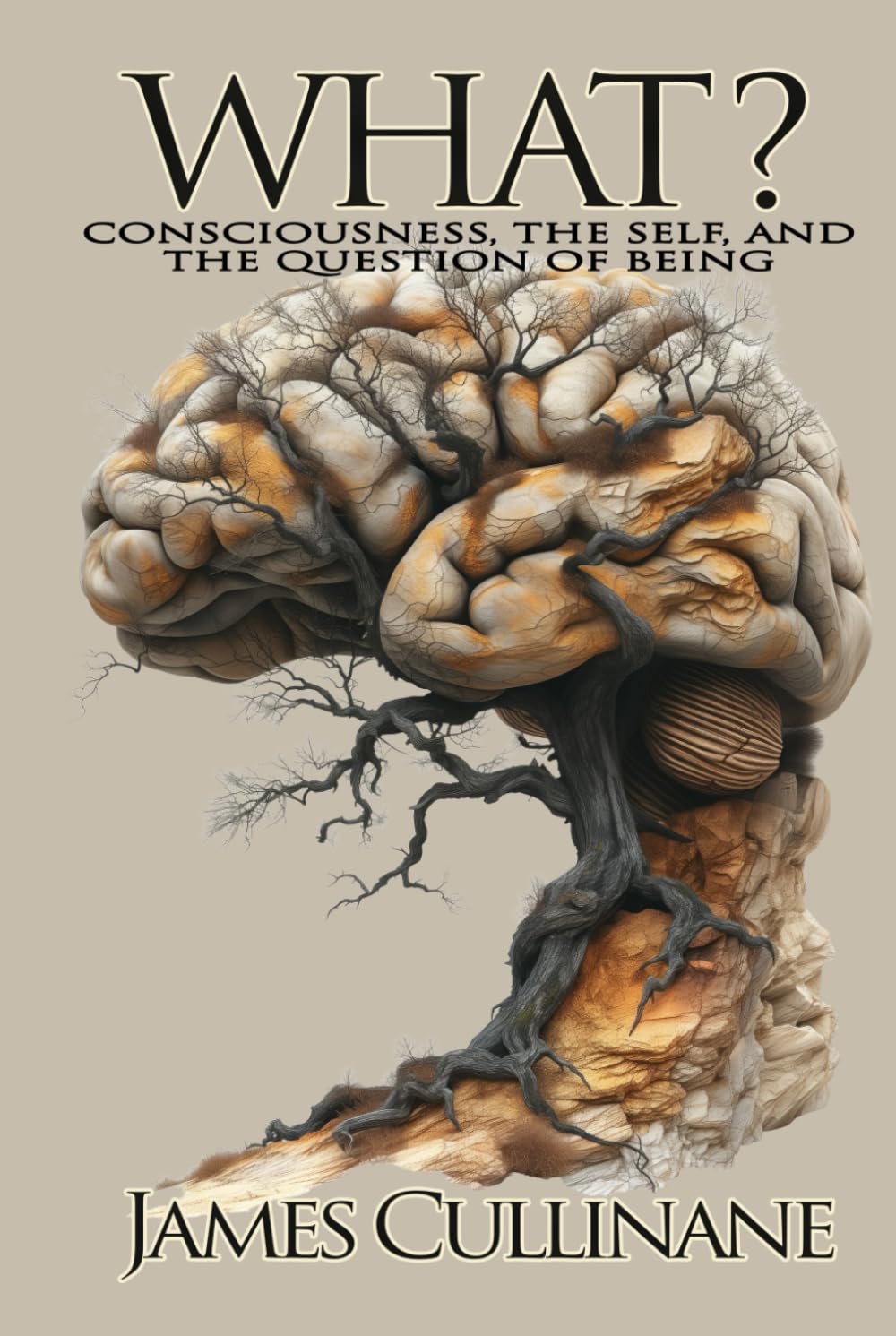 What?: Consciousness, the Self, and the Question of Being