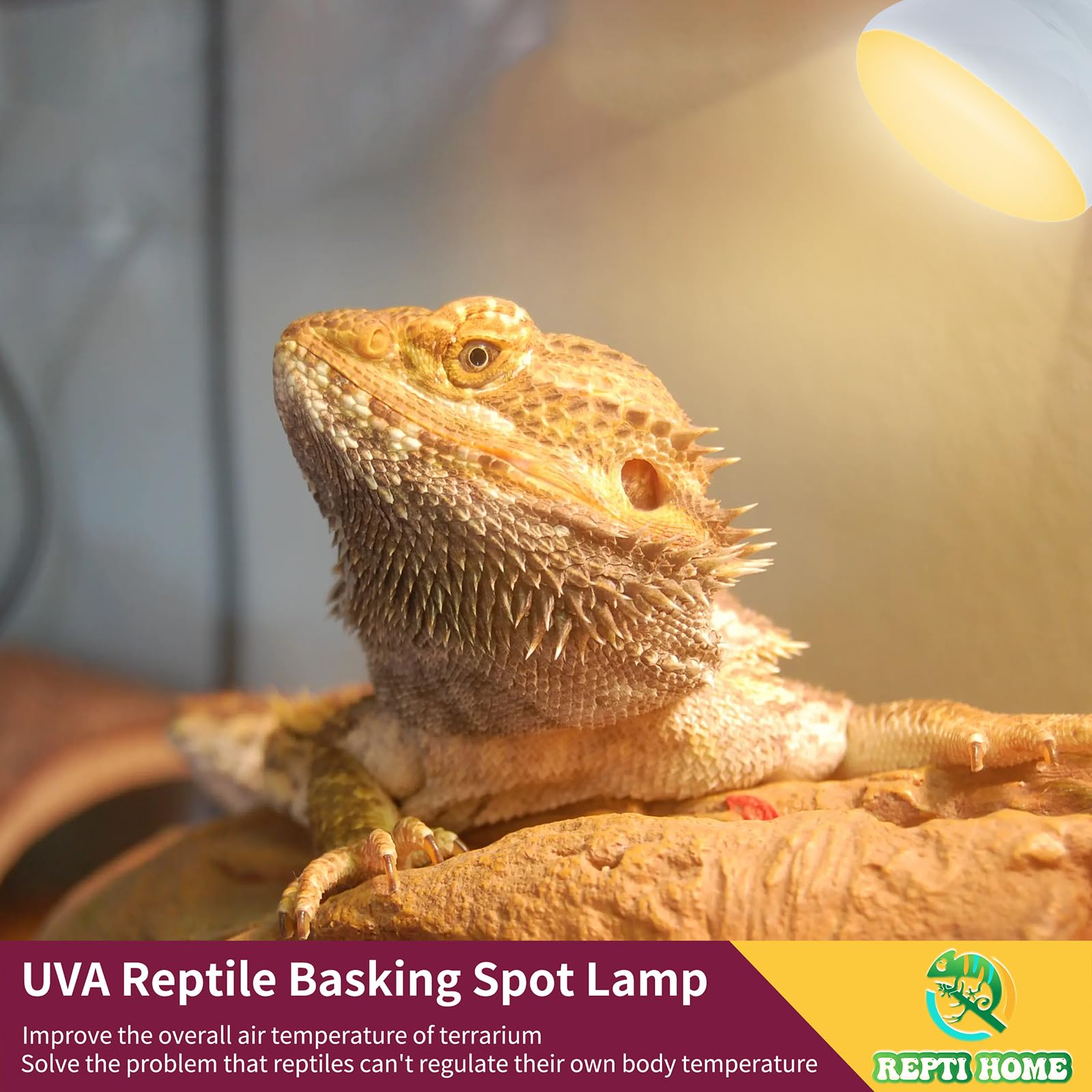 REPTI HOME 150W Reptile Heat Lamp Bulb 2 Pack,Basking Spot Lamp Bulb for Reptiles & Amphibians，Reptile Daylight Heat Bulb for Bearded Dragon, Lizard, Turtle - image 4