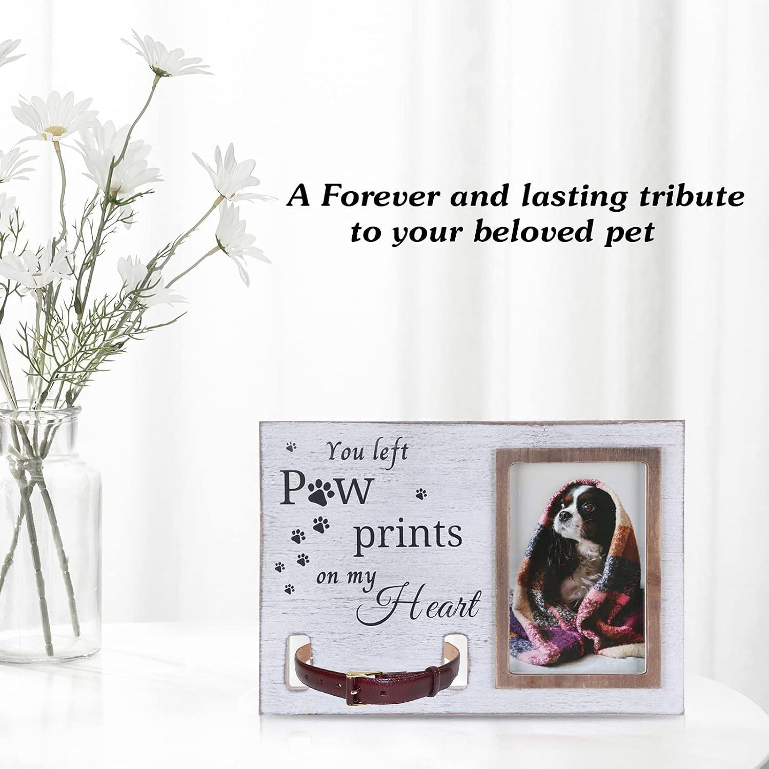 Pet Keepsake Frame, Pet Memorial Picture Frame, Cat Photo Frame, Dog Photo Frame, Dog Memorial Sentiment Frame for Loss of Dog Gifts, Collar Mount, Loving Remembrance Message (You Left Paw Prints)