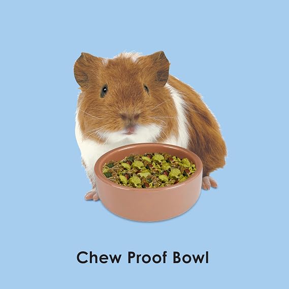 Kaytee Stoneware Ceramic Pet Hamster Bowl, Brown, 3-Inch