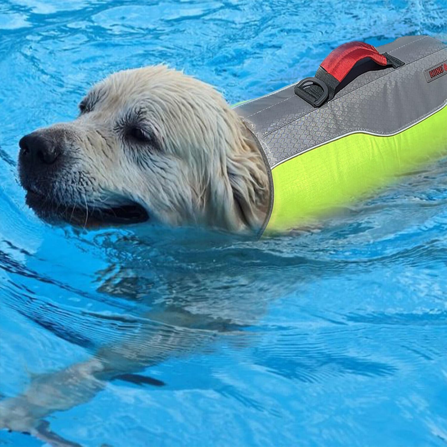 Water Float Dog Flotation Life Jacket Vest, Swimming Float Aid with Safety Handle, Adjustable Comfortable Durable Preserver High Buoyancy Coat (Green, Large)