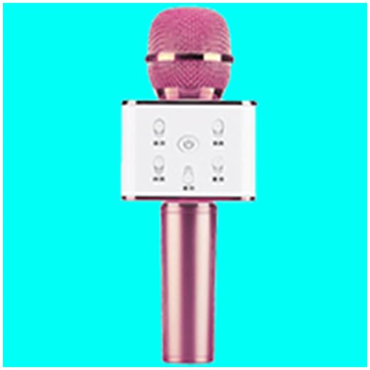 Karaoke Microphone