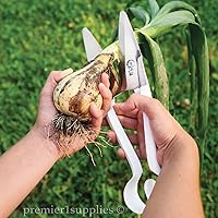 Vista 3 de Premier 1 Tijeras de mano para plantas y ganado, hoja de 5 pulgadas, color blanco