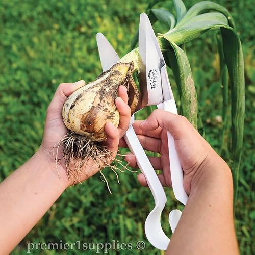 Miniatura 3 de Tijeras de mano para plantas y ganado - Hoja de 5" - Blanco