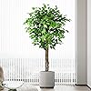 Product Photo 1