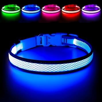 Flashseen LED Dog Collar, Light Up Dog Collar USB Rechargeable, Blue, S