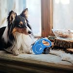 FLEXI® Classic Cord Retractable Dog Leash, Small, 16 ft - Blue | German engineered, original flexi leash, durable quality for dogs up to 26 lbs, tangle-free, walking, reliable brake system