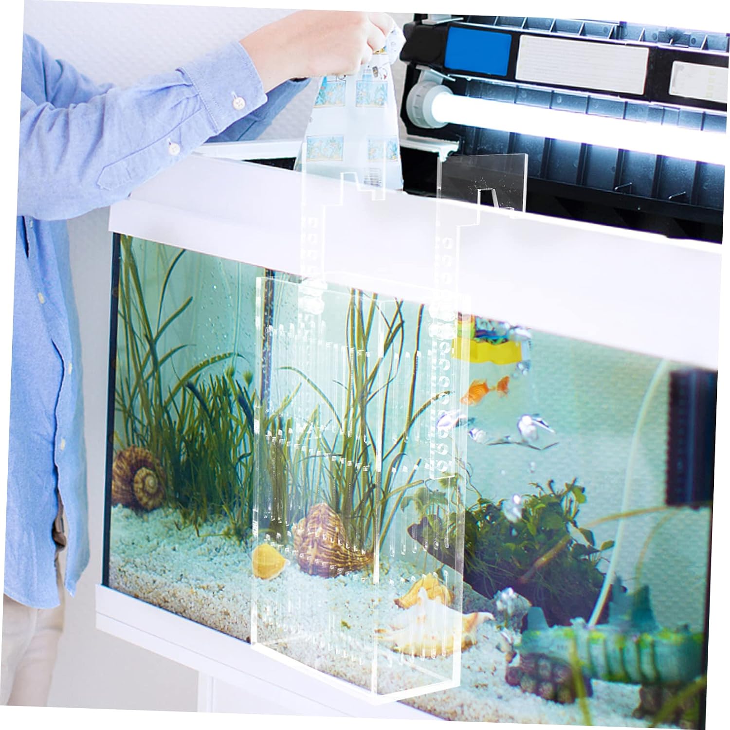 Acrylic Fish Breeding Box Divider Mini Aquarium Incubator for Guppies and Betta Fish Hanging Breeder Tank Suction Cups