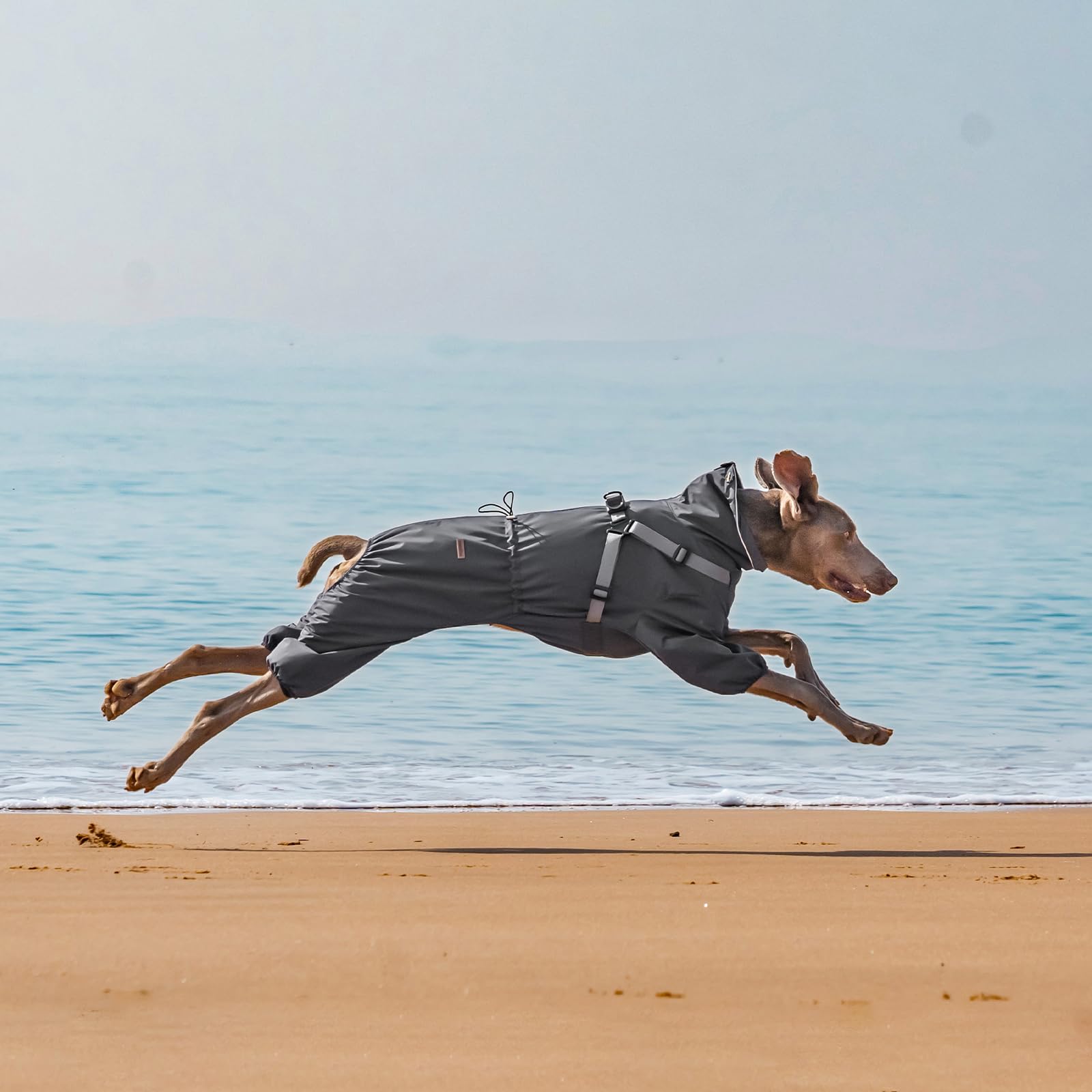 PAWBOSE Impermeabile per Cani con Imbracatura per Cani di Taglia Piccola, Media e Grande, Impermeabile Regolabile, Riflettenti, 4 Gambe, Bei Vestiti per Cani per l'estate, Grigio, 4XL