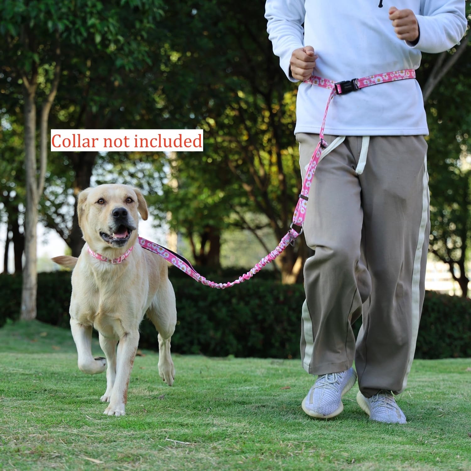 Hands Free Dog Leash, No Pull Bungee Dog Running Waist Leash, with Car Seat Belt, Reflective Stripes, Heavy Duty for Medium and Large Dogs. (Daisy Pink, Large) - image 4