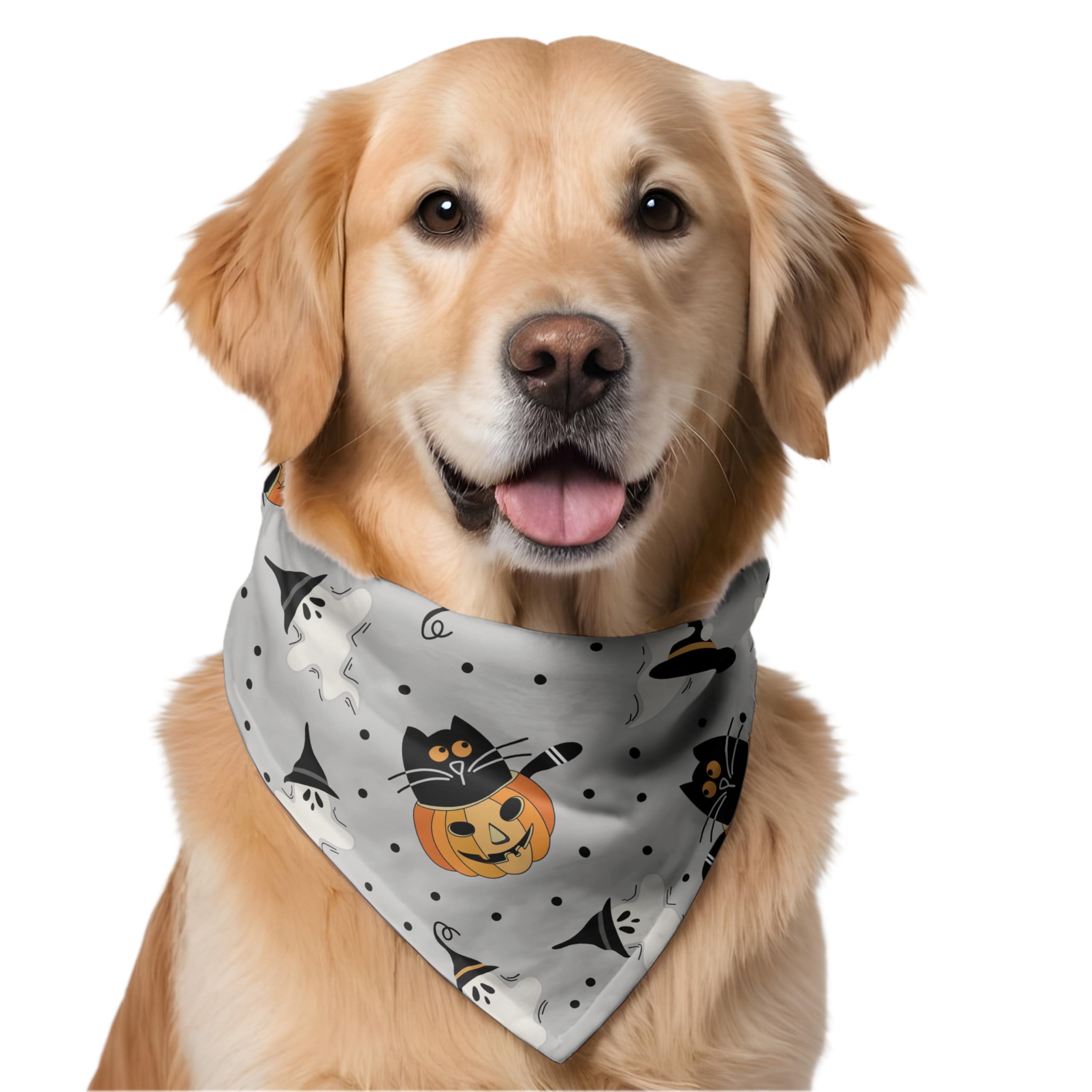 W brings Halloween Dog Bandana – Triangle Scarf for Pets | Adjustable Knot Tie Around Neck Accessory for Dogs – Festive Halloween Print (One Size Fits Small, Medium & Large) - Green (Grey) — image 1