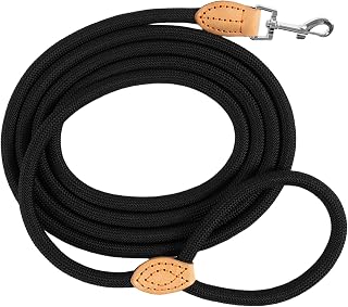 Tauleine Hund – Nylon Hundeleine für kleine, mittelgroße & große Hunde – hundeleine leicht mit Schlaufe für kleinere Hunde, robuste Hundeleine große Hunde (Schwarz, 2m x 1.2cm)