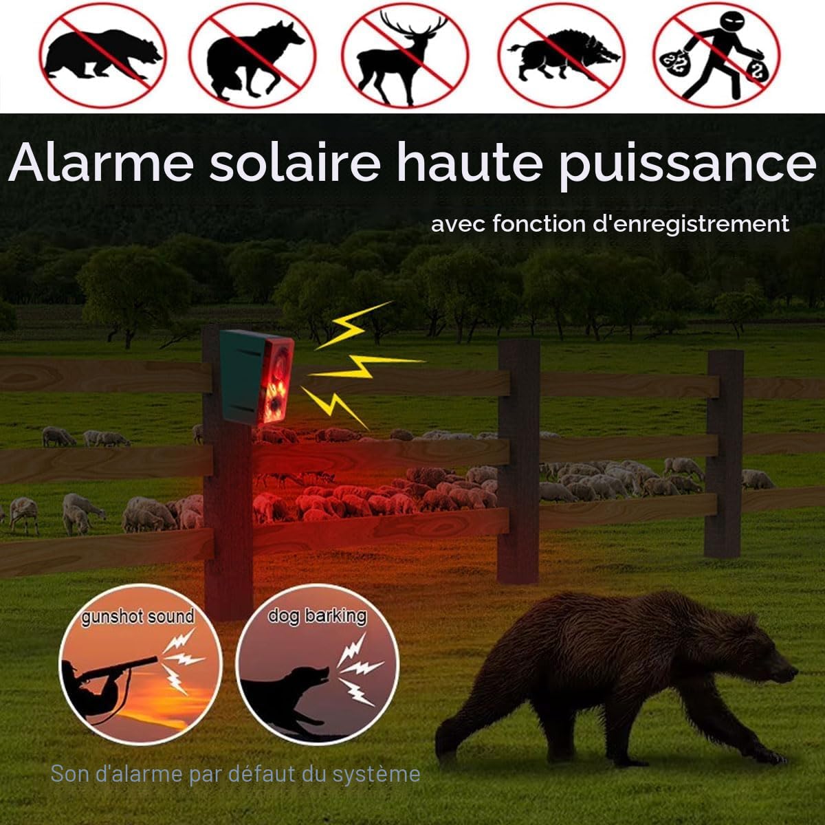 Alarme de détecteur de Mouvement Solaire extérieur - aboiement de Chien et Coup de feu, générateur de Bruit 130dB avec télécommande, Enregistrement de 20 Secondes, Dites Adieu aux intrus