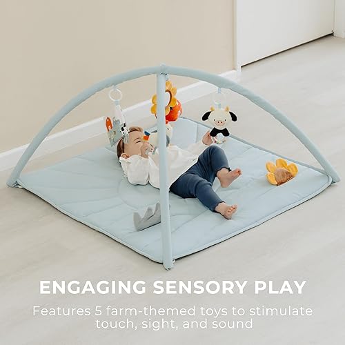 Miniatura 5 de Hermosa alfombrilla para el gimnasio de juego para bebés y tiempo boca abajo, tapete suave con 5 juguetes de granja que crea el área de actividad